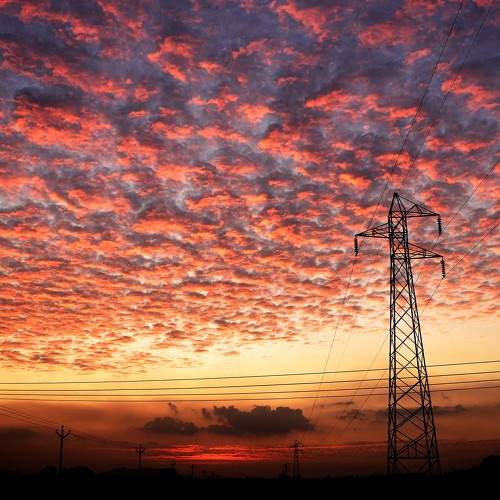 Photo #8456423