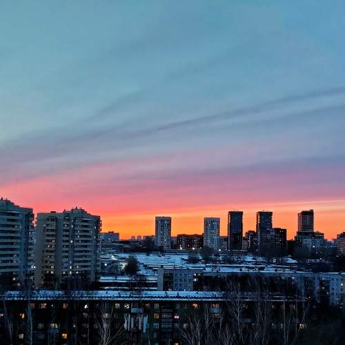 Photo #8456446