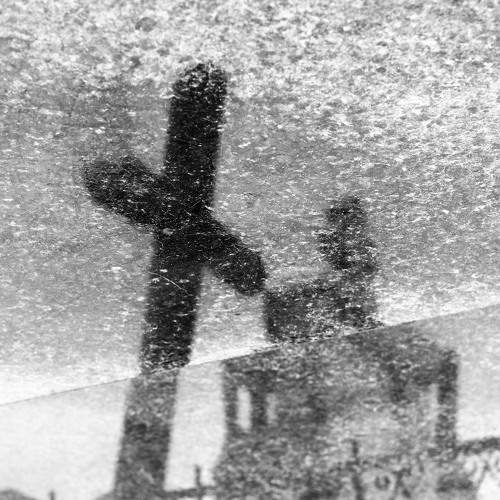 Photo #8456582