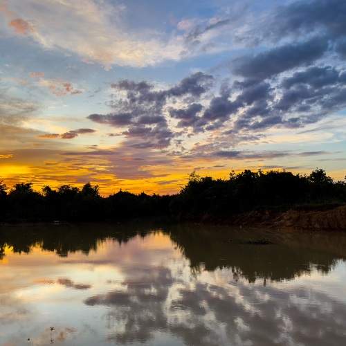 Photo #8456612