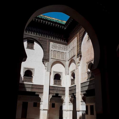 Photo #8456626