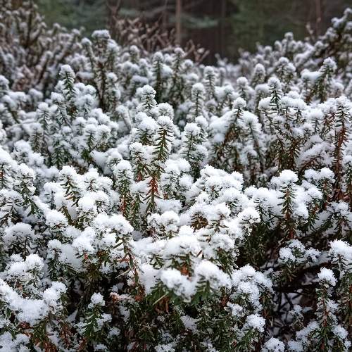 Photo #8456627