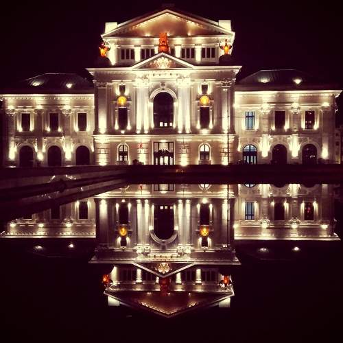 Photo #8456643