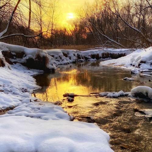 Photo #8456756