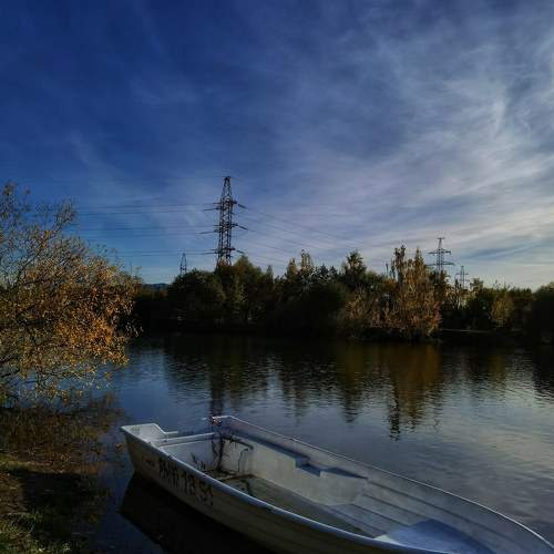 Photo #8457029