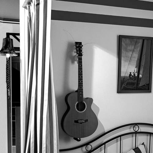 Photo #8458489
