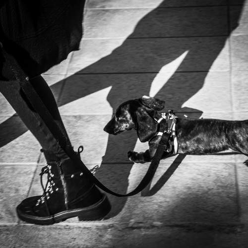 Photo #8458694