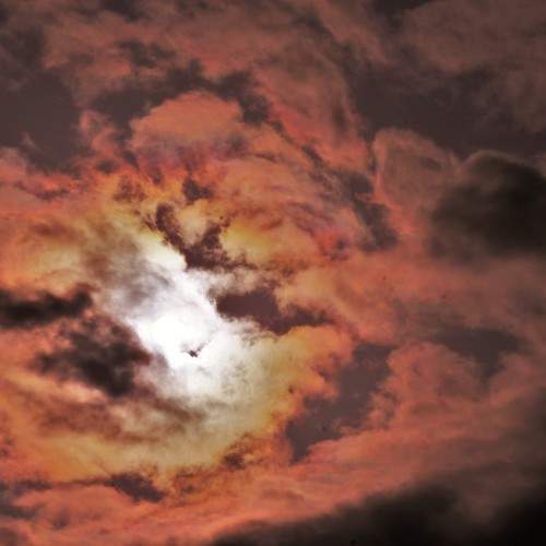 Photo #8458778