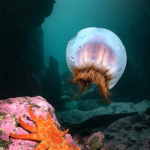 ДРУГИЕ МИРЫ