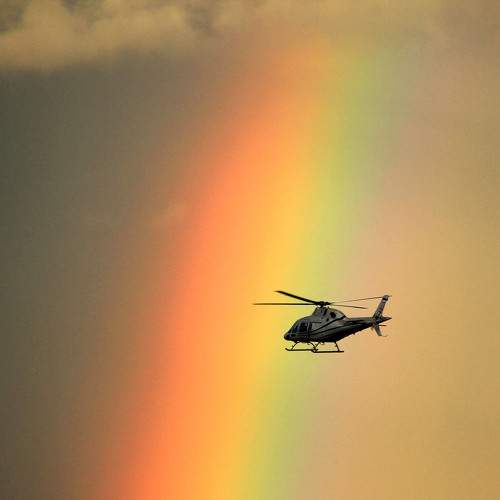 Photo #8458970
