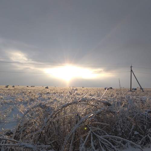 Photo #8459040