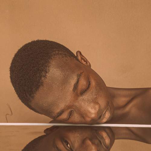 Photo #8459552