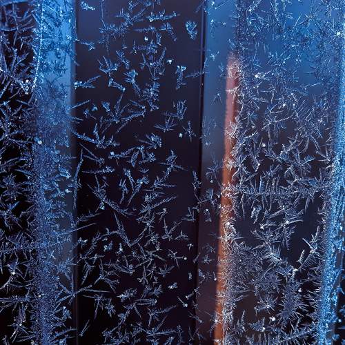 Photo #8459712
