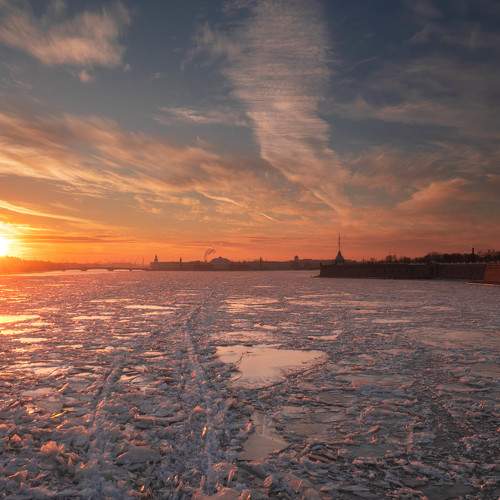 Photo #8459733