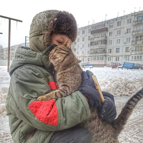 Искренние чувства