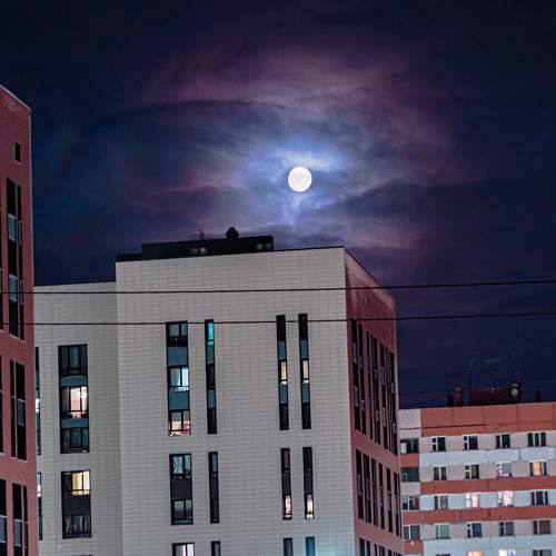 Photo #8459975