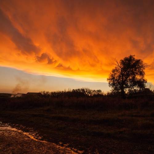 Photo #8460081