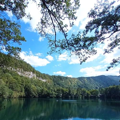 Photo #8460463