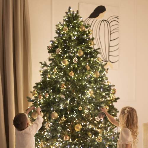 Photo #8460790