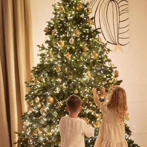 Photo #8460792