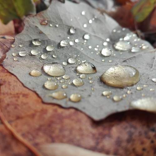 Photo #8461083
