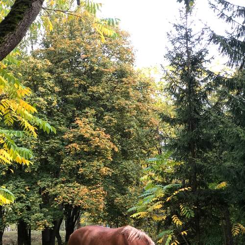 Photo #8461135