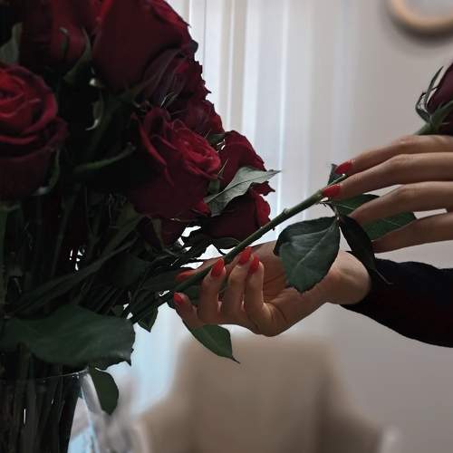 Photo #8461158