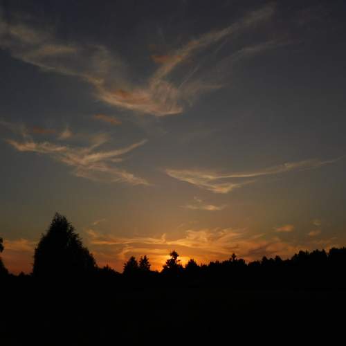 Photo #8461729