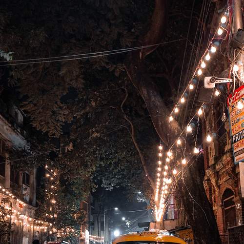Photo #8462189