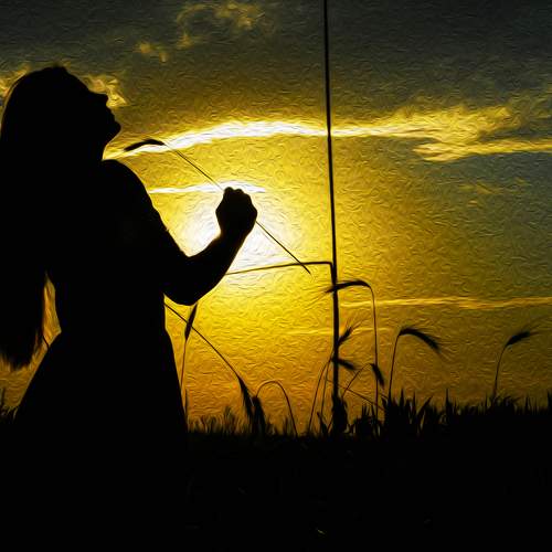 Photo #8462398
