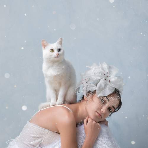 Фотография #8462481