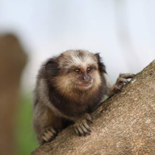 Photo #8462492