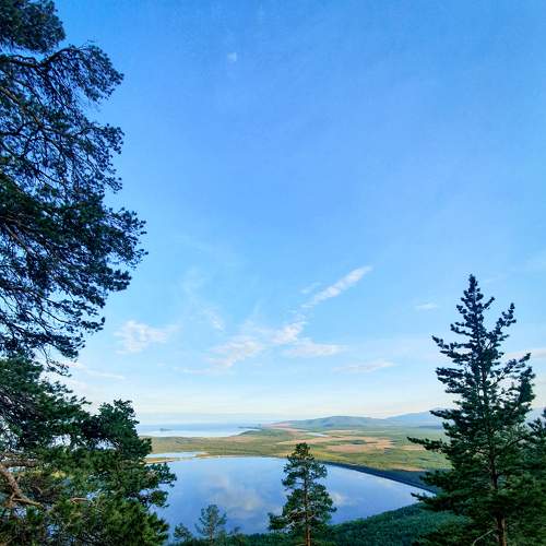 Photo #8462678