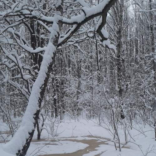 Photo #8462822