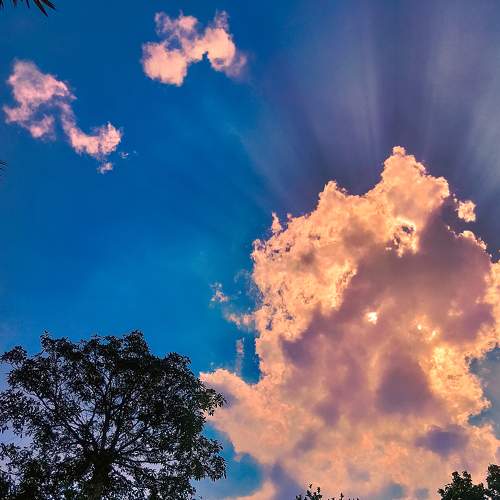 Nature Photography