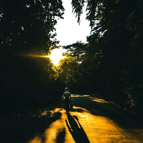 Photo #8463215