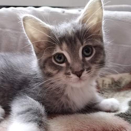 Photo #8463231