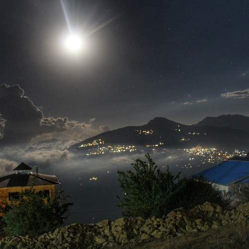 Photo #8463419