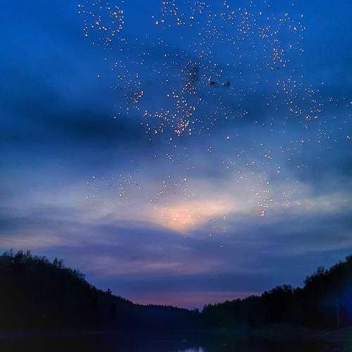 Photo #8463522
