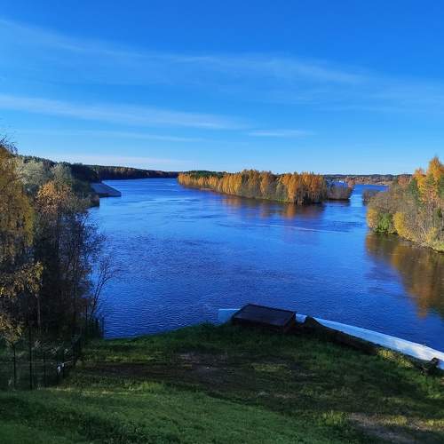 Photo #8463701