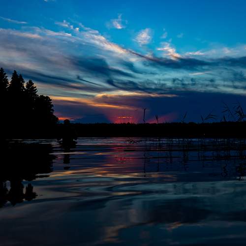 Photo #8463798