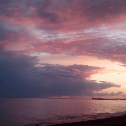 Photo #8464452