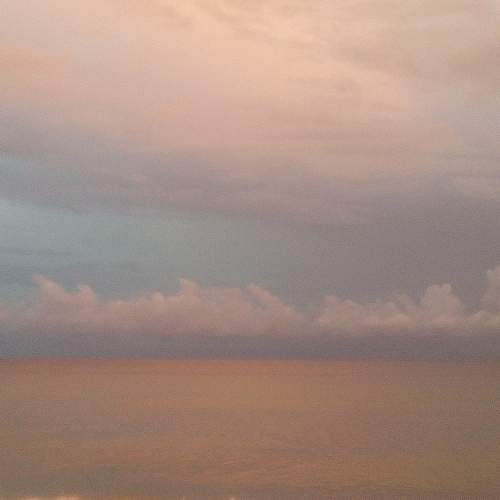 Photo #8464453