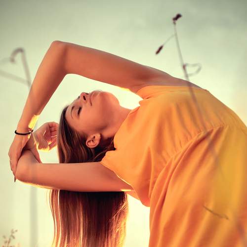 Photo #8464622