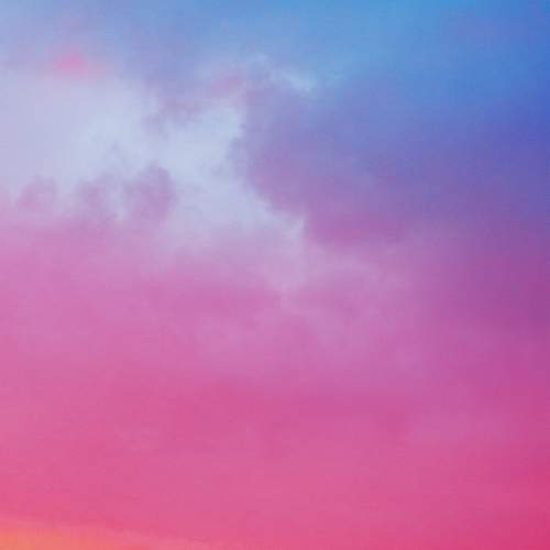 Photo #8465180