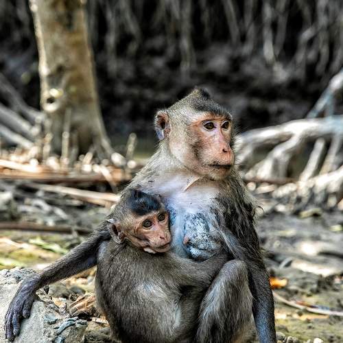 Photo #8465503