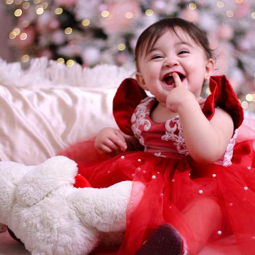 Photo #8465679