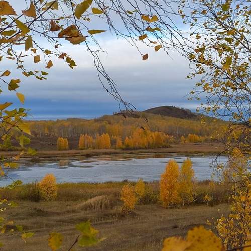 Photo #8465685