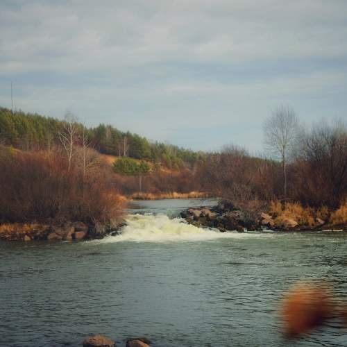 Photo #8466085