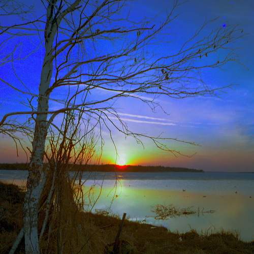 Photo #8466089